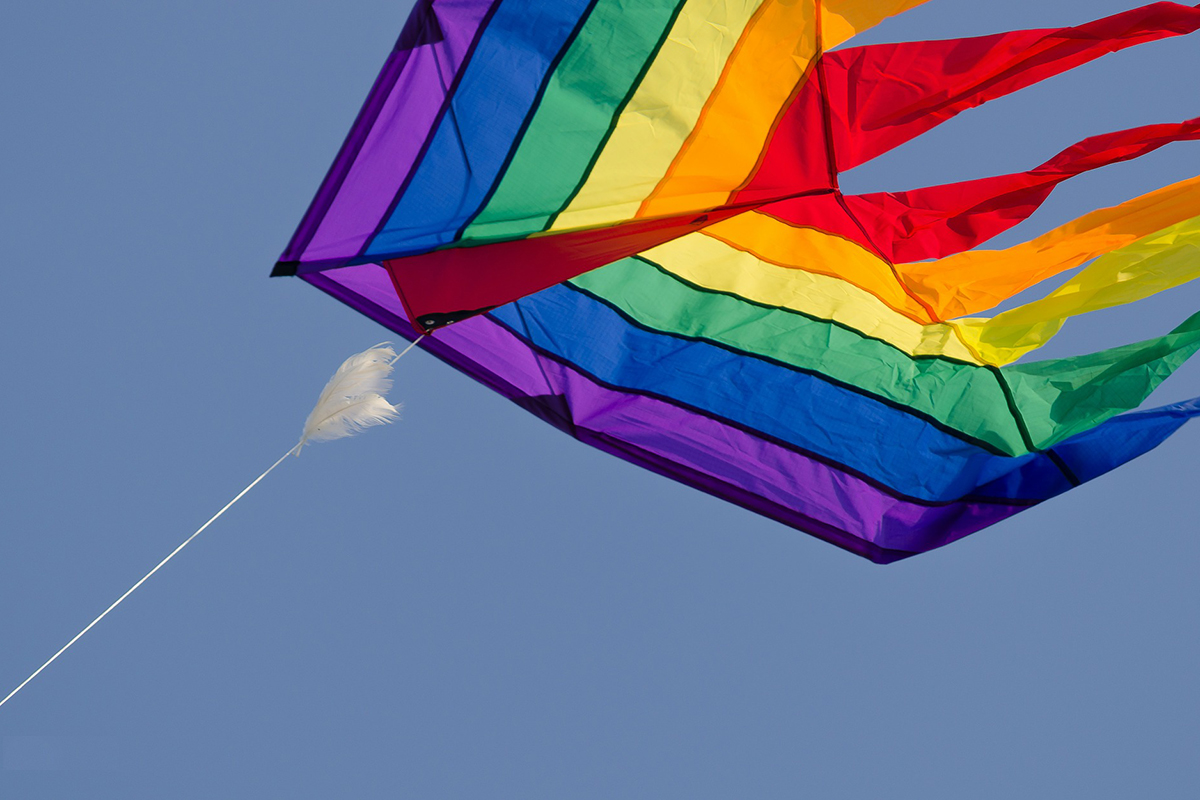 Kids might not take it right, but you must be informed that kites are not allowed on board!