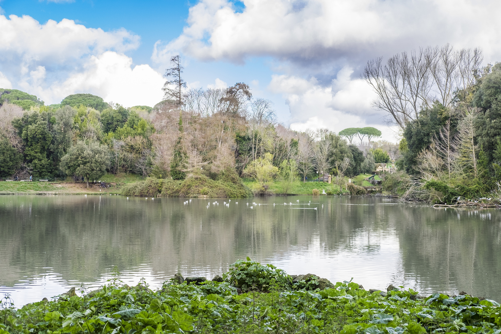 Vista del Lago del Belvedere - Villa Pamphili (Roma)
