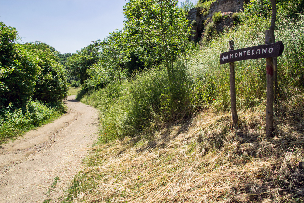 The path that leads to Monterano