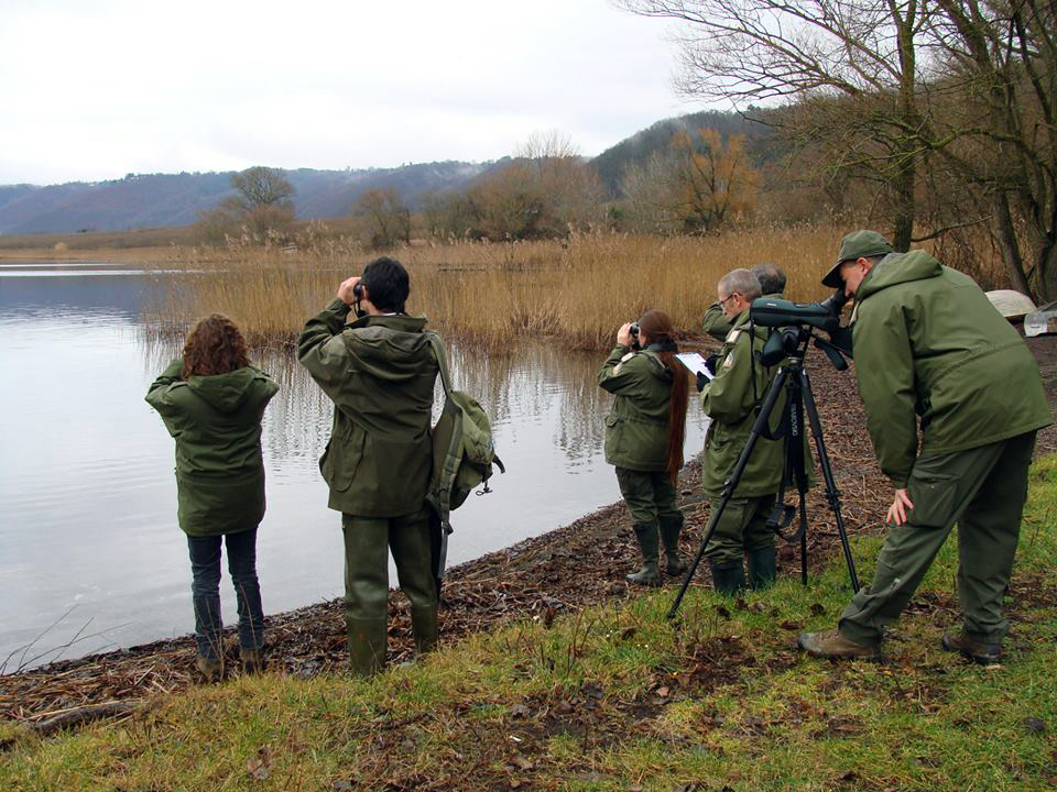 La Riserva Naturale di Macchiatonda è una delle mete preferite dagli amanti del birdwatching La Riserva Naturale di Macchiatonda è una delle mete preferite dagli amanti del birdwatching