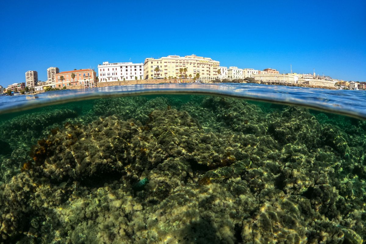 Civitavecchia underwater, by Adriano Grassi - The photo selected for August
