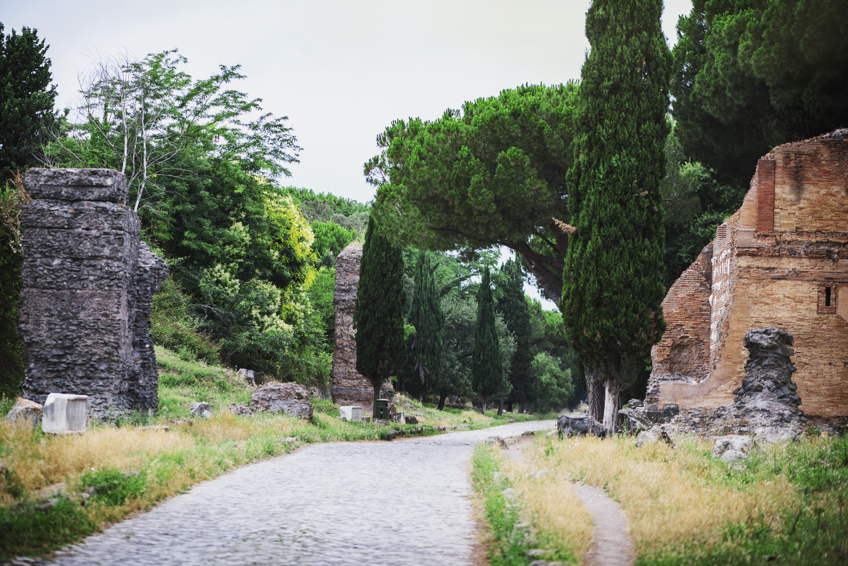 Appian Way with the original pavement (Rome)
