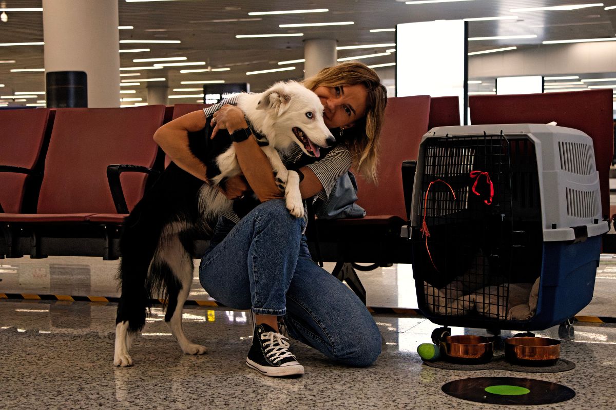 Traveling with your furry friend can be a wonderful experience to enjoy together.