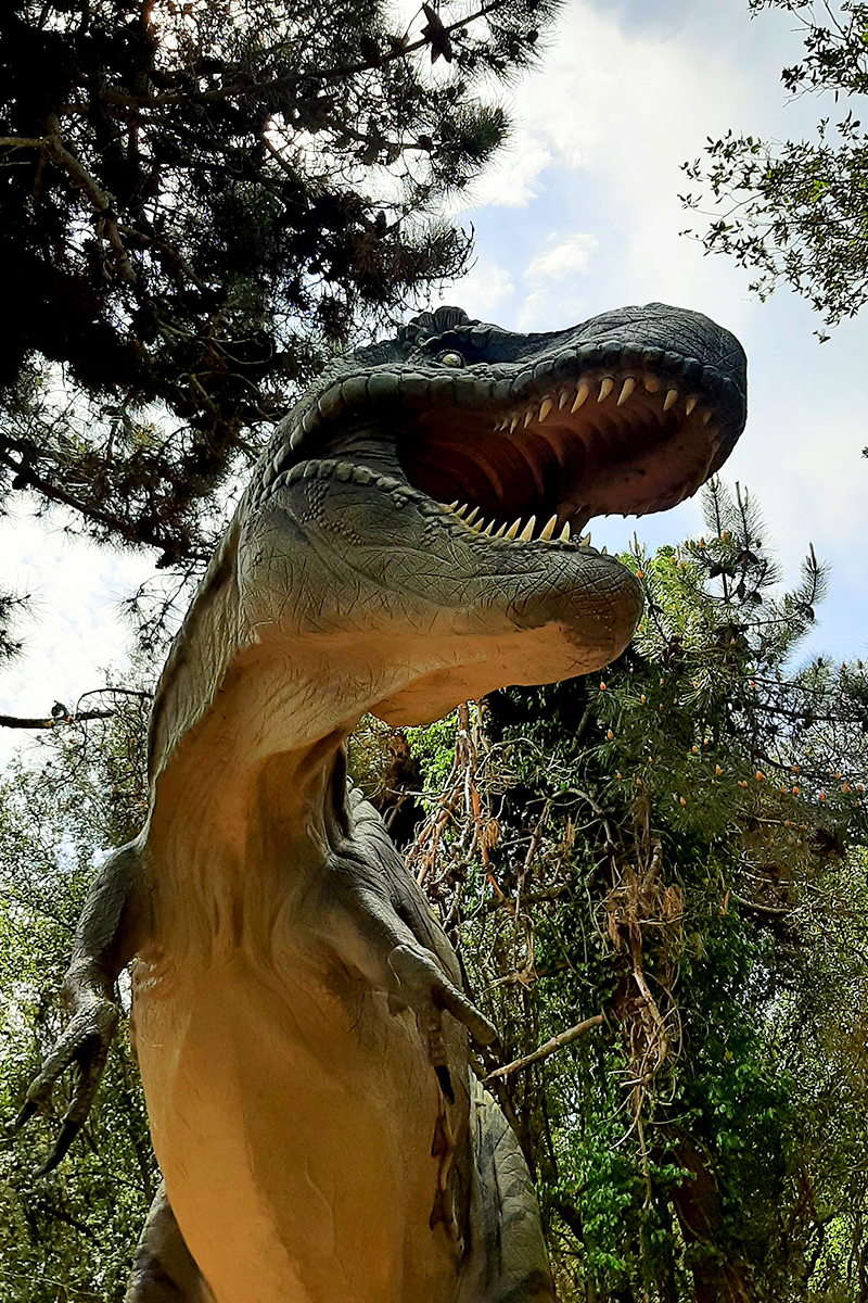 Il T-rex all'Oasi di Macchiagrande