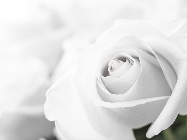 Un saluto a Romina Biferale