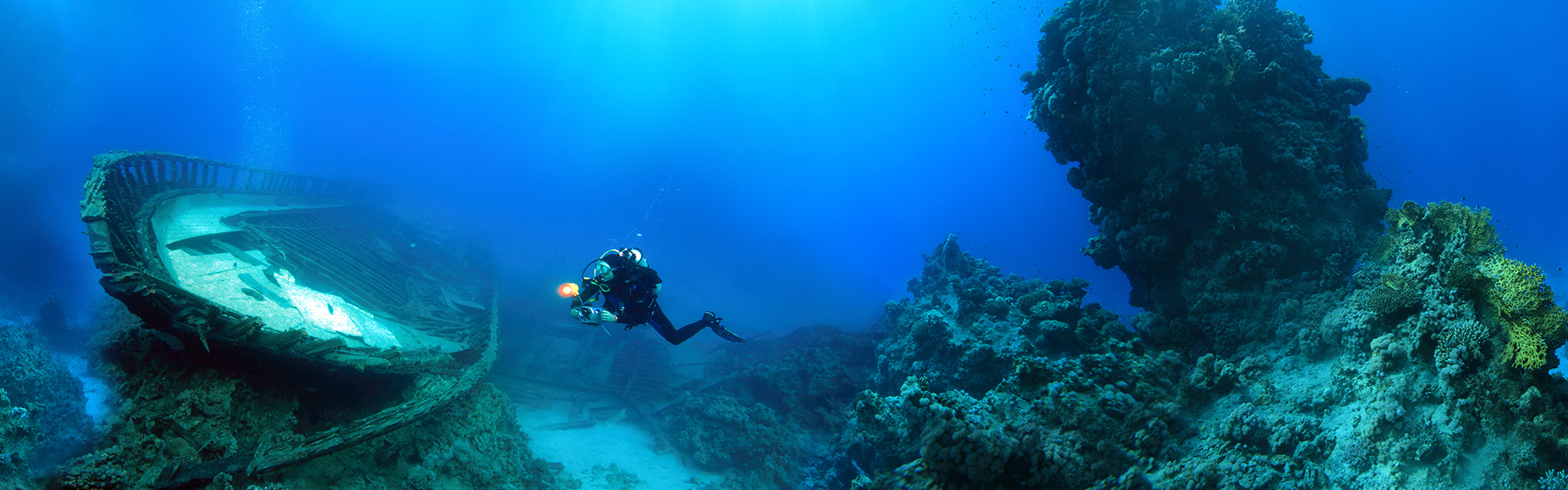 What does the sea bottom of the port hide? Is the legend about the statue of Neptune true? Is there actually a hidden treasure?