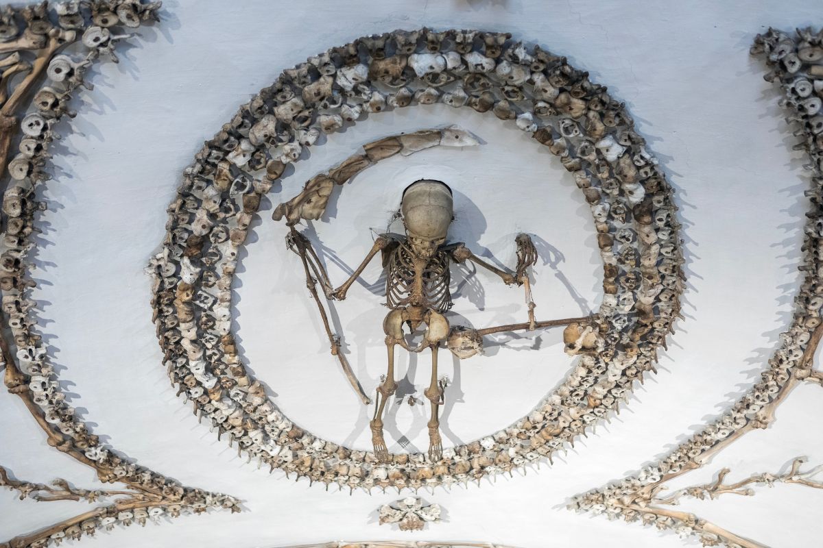 Cripta dei Capuccini - Roma