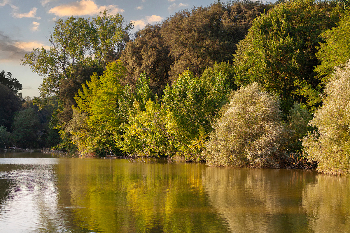 El Lago del Belvedere - Villa Pamphili
