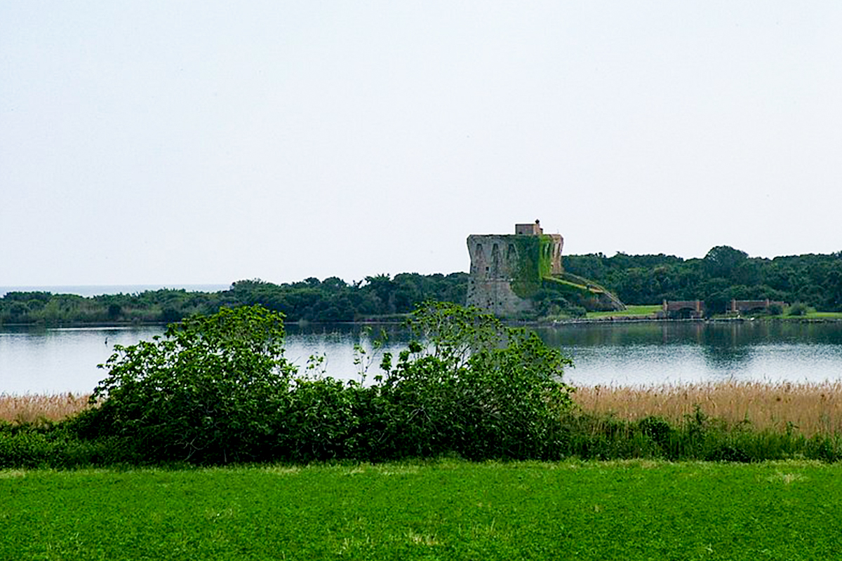 Burano Lake WWF Oasis in Capalbio. In the background is the Buranaccio Tower - Wikipedia Commons - Photo by Girolamocannat