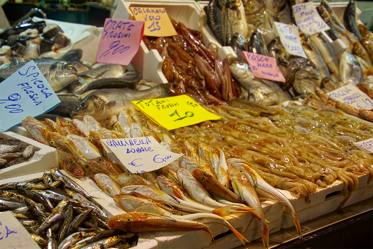 Civitavecchia - Fish Market