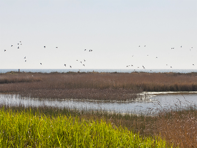 Reserva Natural de Macchiatonda