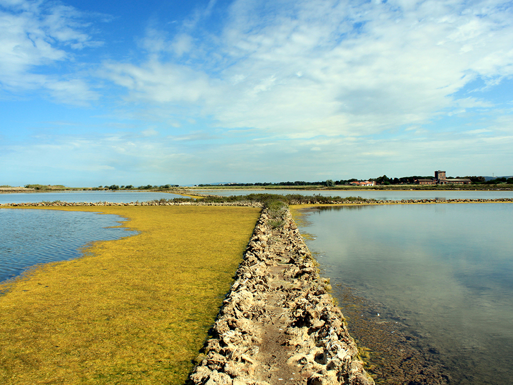 La Riserva Naturale delle Saline di Tarquinia La Riserva Naturale delle Saline di Tarquinia