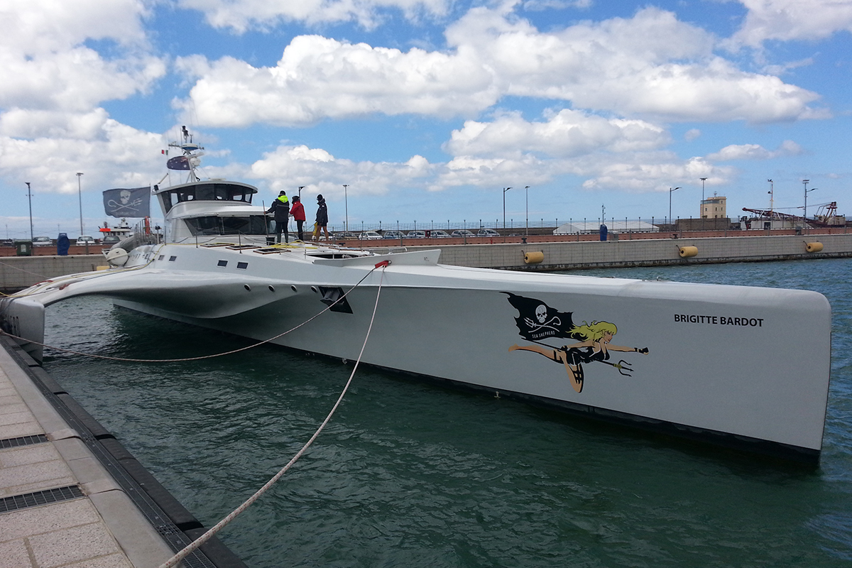 La Brigitte Bardot appartiene alla flotta di Sea Shepherd. Dal 18 maggio è possibile visitarla al Porto di Civitavecchia