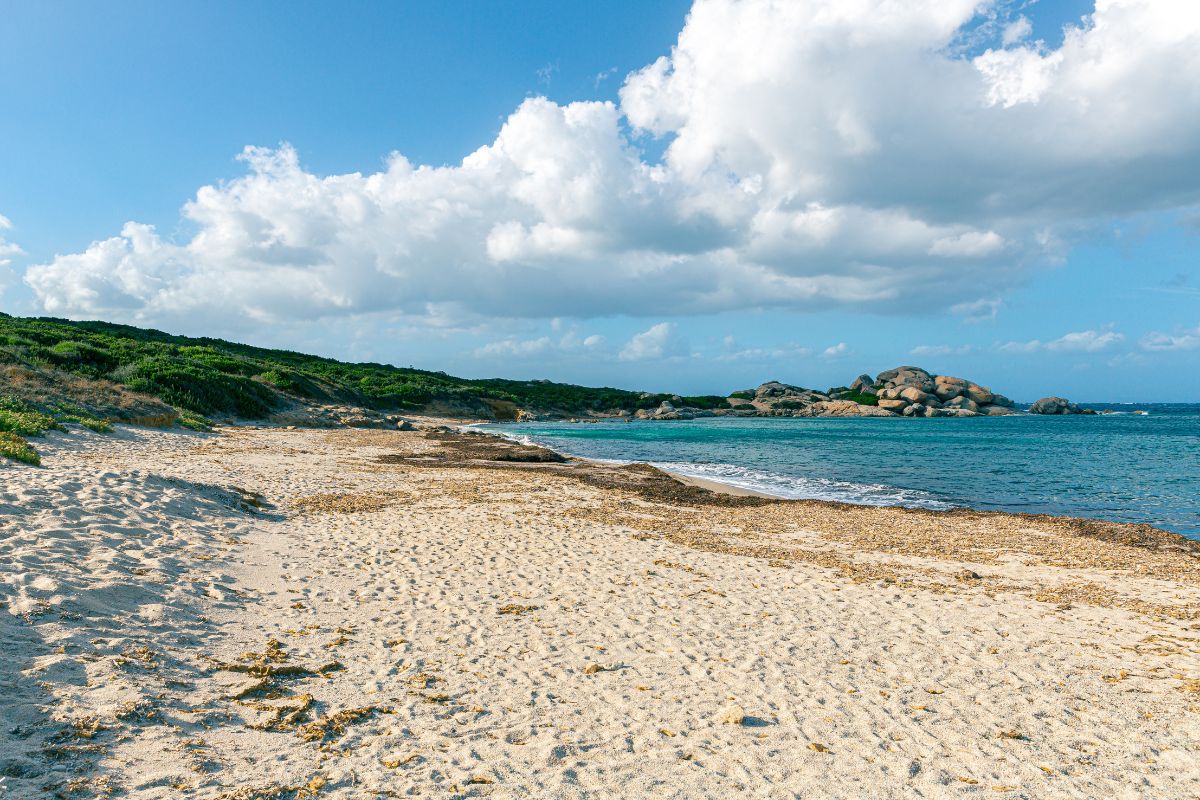 La Licciola Beach - Sardinia (Santa Teresa di Gallura)