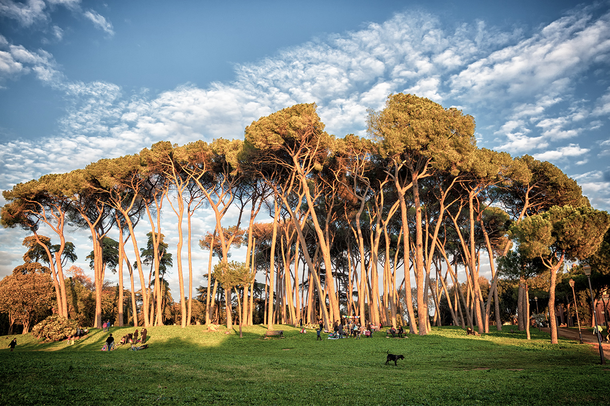 Panorámica de la Valle dei Daini - Villa Pamphili (Roma)